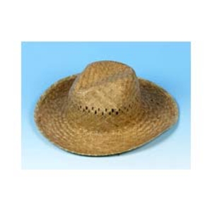 Straw Sun Hat